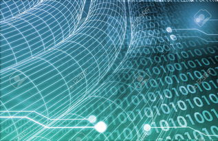 美国数据交易产业的发展历程与互联网数据服务演进